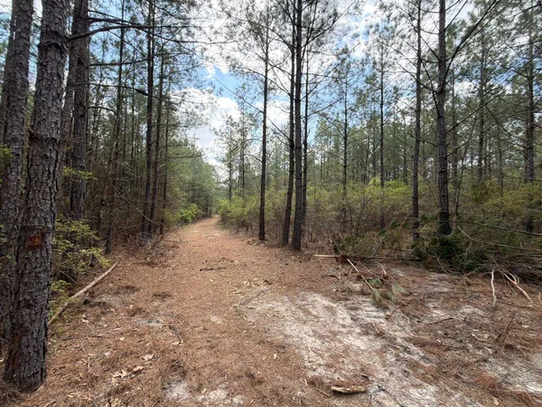 $119,900 | 1 Mt Calvary Rd Ridge Spring, Unit CVA 1, Ridge Spring, SC 29129