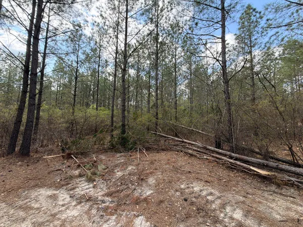 $119,900 | 1 Mt Calvary Rd Ridge Spring, Unit CVA 1, Ridge Spring, SC 29129