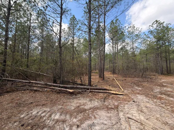 $119,900 | 1 Mt Calvary Rd Ridge Spring, Unit CVA 1, Ridge Spring, SC 29129