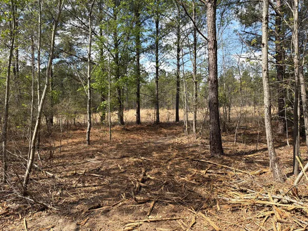 $119,900 | 1 Mt Calvary Rd Ridge Spring, Unit CVA 1, Ridge Spring, SC 29129