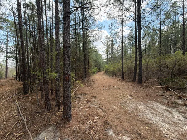 $119,900 | 1 Mt Calvary Rd Ridge Spring, Unit CVA 1, Ridge Spring, SC 29129