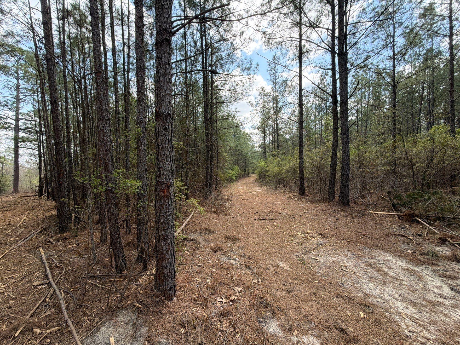 1 Mt Calvary Rd Ridge Spring, Unit CVA 1 Ridge Spring, SC 29129 - Photo 41 of 47 41-Mar 26 2026 04_49pm-aW9p