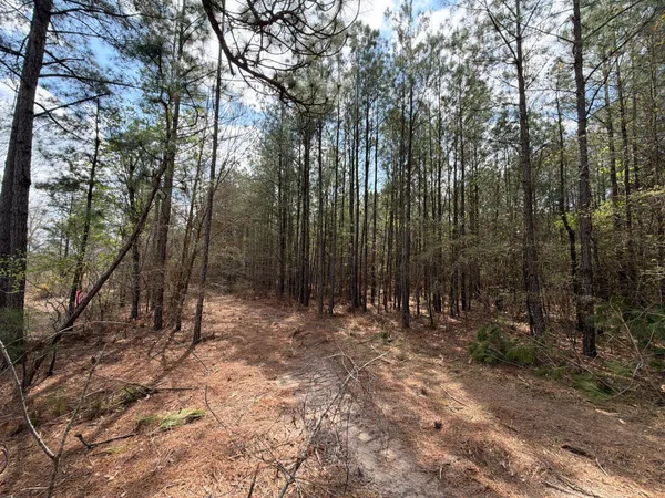 $119,900 | 1 Mt Calvary Rd Ridge Spring, Unit CVA 1, Ridge Spring, SC 29129