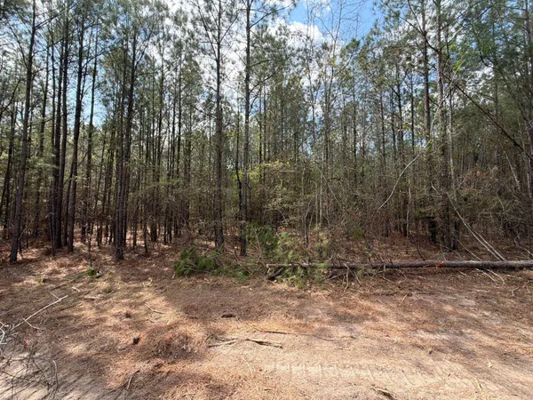 $119,900 | 1 Mt Calvary Rd Ridge Spring, Unit CVA 1, Ridge Spring, SC 29129