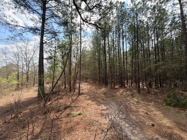 $119,900 | 1 Mt Calvary Rd Ridge Spring, Unit CVA 1, Ridge Spring, SC 29129