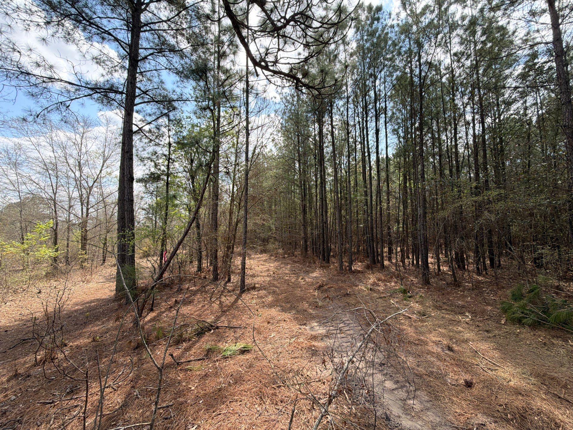 1 Mt Calvary Rd Ridge Spring, Unit CVA 1 Ridge Spring, SC 29129 - Photo 44 of 47 44-Mar 26 2026 04_51pm-SFfd