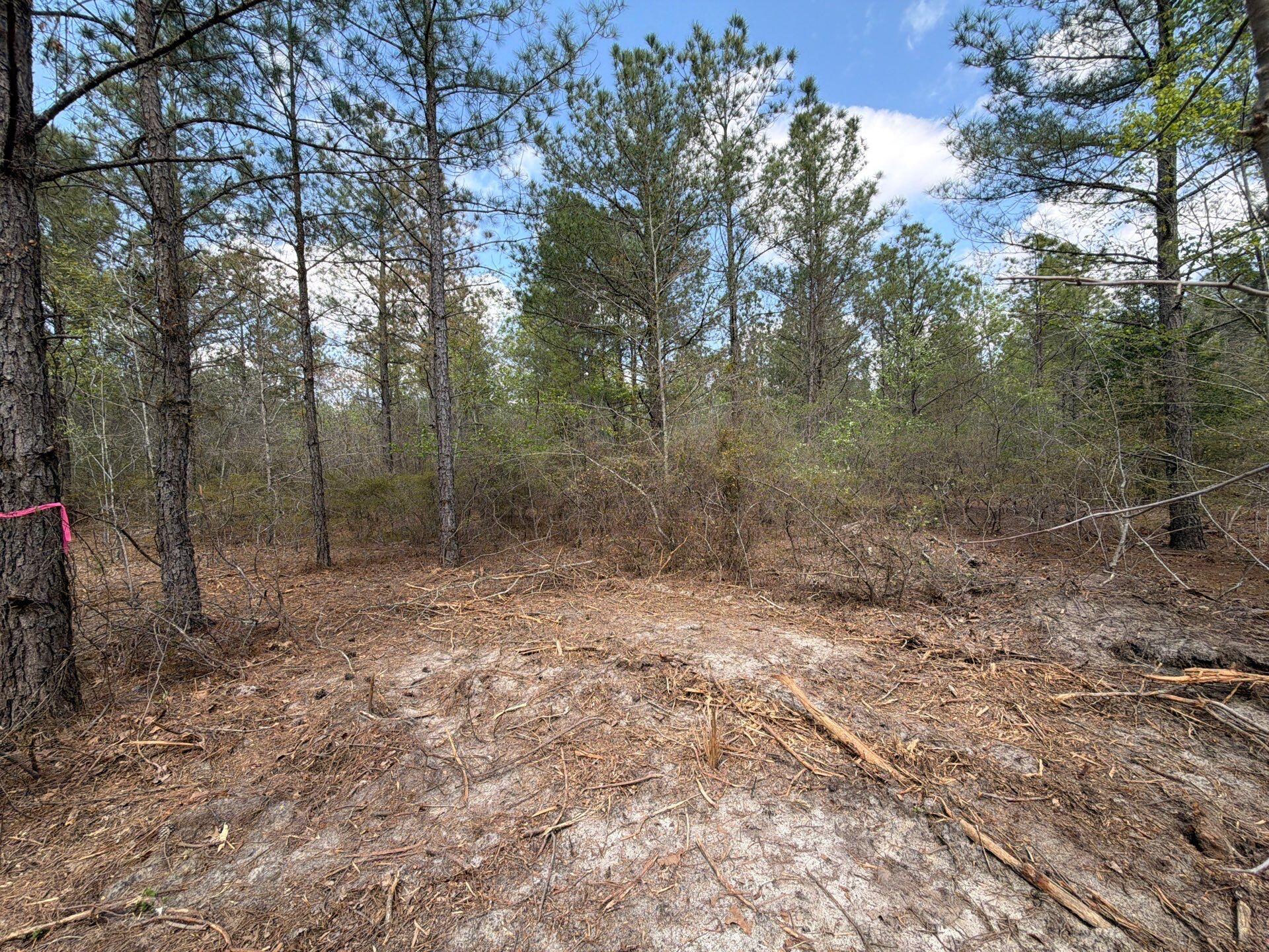 1 Mt Calvary Rd Ridge Spring, Unit CVA 1 Ridge Spring, SC 29129 - Photo 45 of 47 45-Mar 26 2026 04_54pm-Scuq