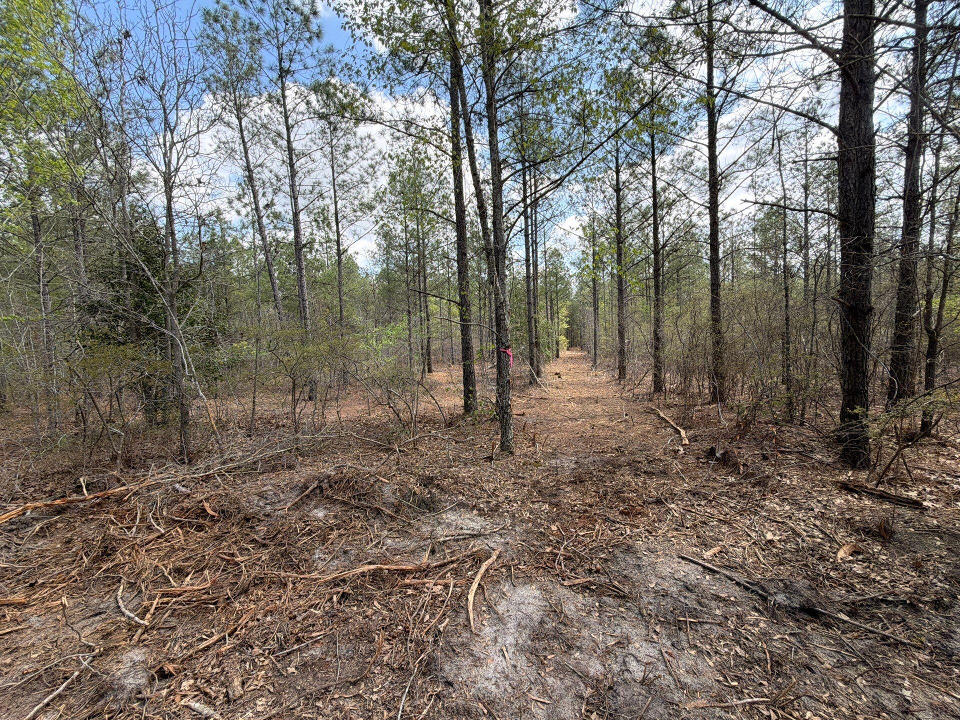 1 Mt Calvary Rd Ridge Spring, Unit CVA 1 Ridge Spring, SC 29129 - Photo 47 of 47 47-Mar 26 2026 04_54pm-pi6N