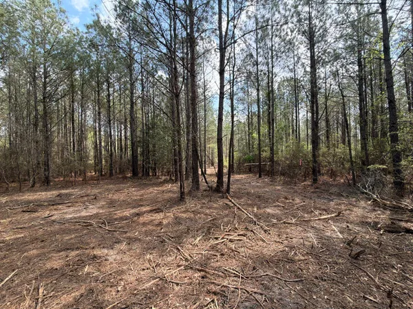 $119,900 | 1 Mt Calvary Rd Ridge Spring, Unit CVA 1, Ridge Spring, SC 29129