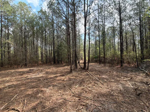 $119,900 | 1 Mt Calvary Rd Ridge Spring, Unit CVA 1, Ridge Spring, SC 29129