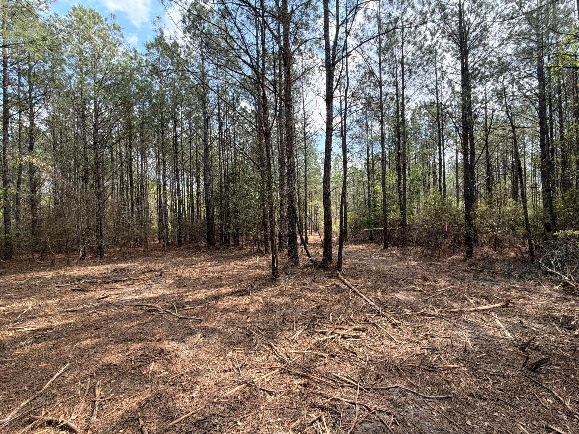 1 Mt Calvary Rd Ridge Spring, Unit CVA 1 Ridge Spring, SC 29129 - Photo 6 of 47 6-Mar 26 2026 04_27pm-8Ltu