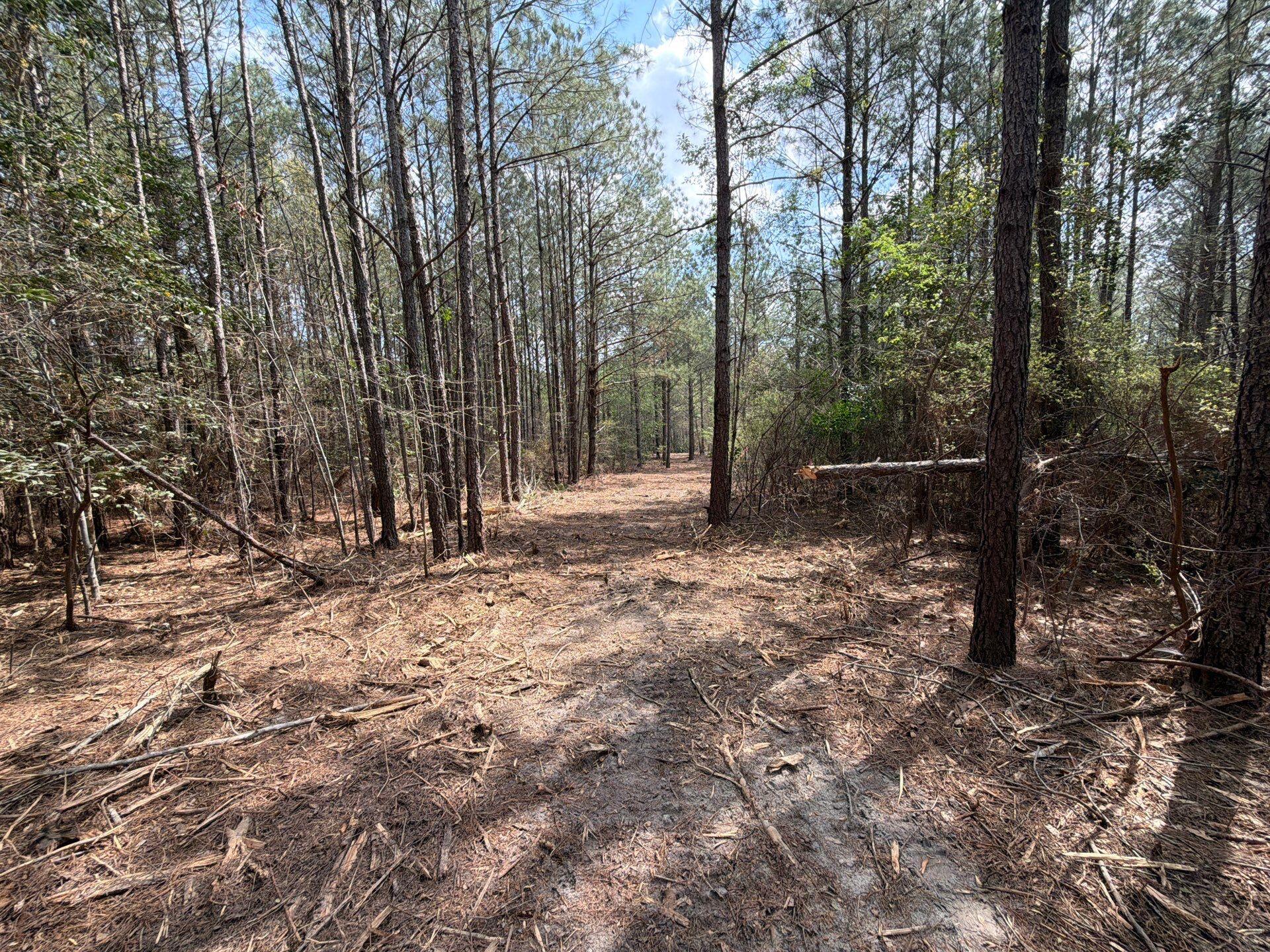1 Mt Calvary Rd Ridge Spring, Unit CVA 1 Ridge Spring, SC 29129 - Photo 7 of 47 7-Mar 26 2026 04_27pm-Wcbk