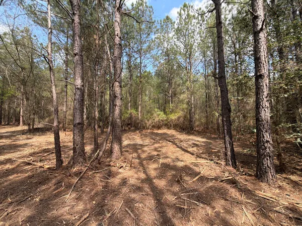 $119,900 | 1 Mt Calvary Rd Ridge Spring, Unit CVA 1, Ridge Spring, SC 29129