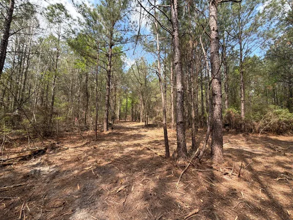 $119,900 | 1 Mt Calvary Rd Ridge Spring, Unit CVA 1, Ridge Spring, SC 29129