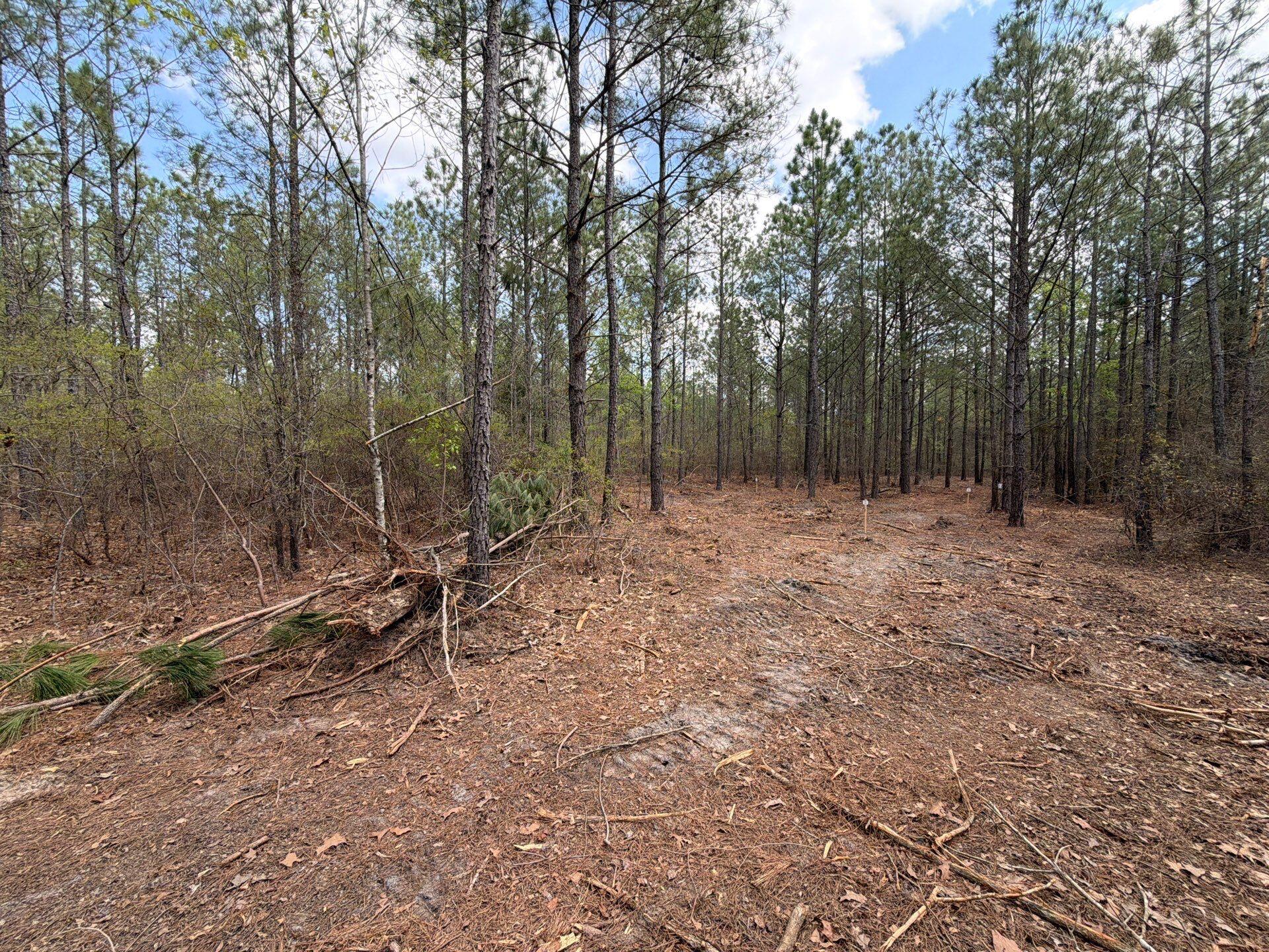 1 Mt Calvary Rd Ridge Spring, Unit CVA 1 Ridge Spring, SC 29129 - Photo 10 of 47 10-Mar 26 2026 04_32pm-A7Be