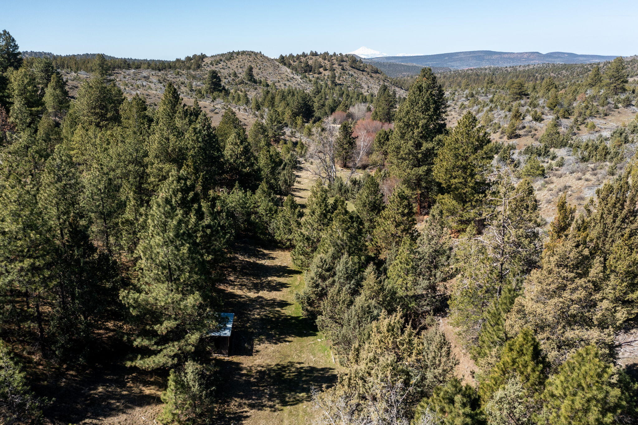 0 Southeast Grizzly Road, Unit 1215000000100 Madras, OR 97741 - Photo 24 of 39 a view of a forest with mountains in the background