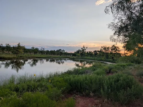 $195,000 | 688 County Road 321, Abilene, TX 79606