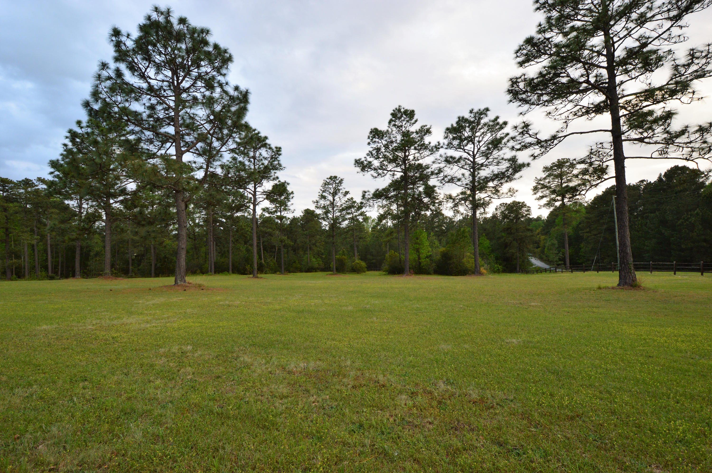 424 Calloway Road Southern Pines, NC 28387 - Photo 11 of 60 DSC_0004