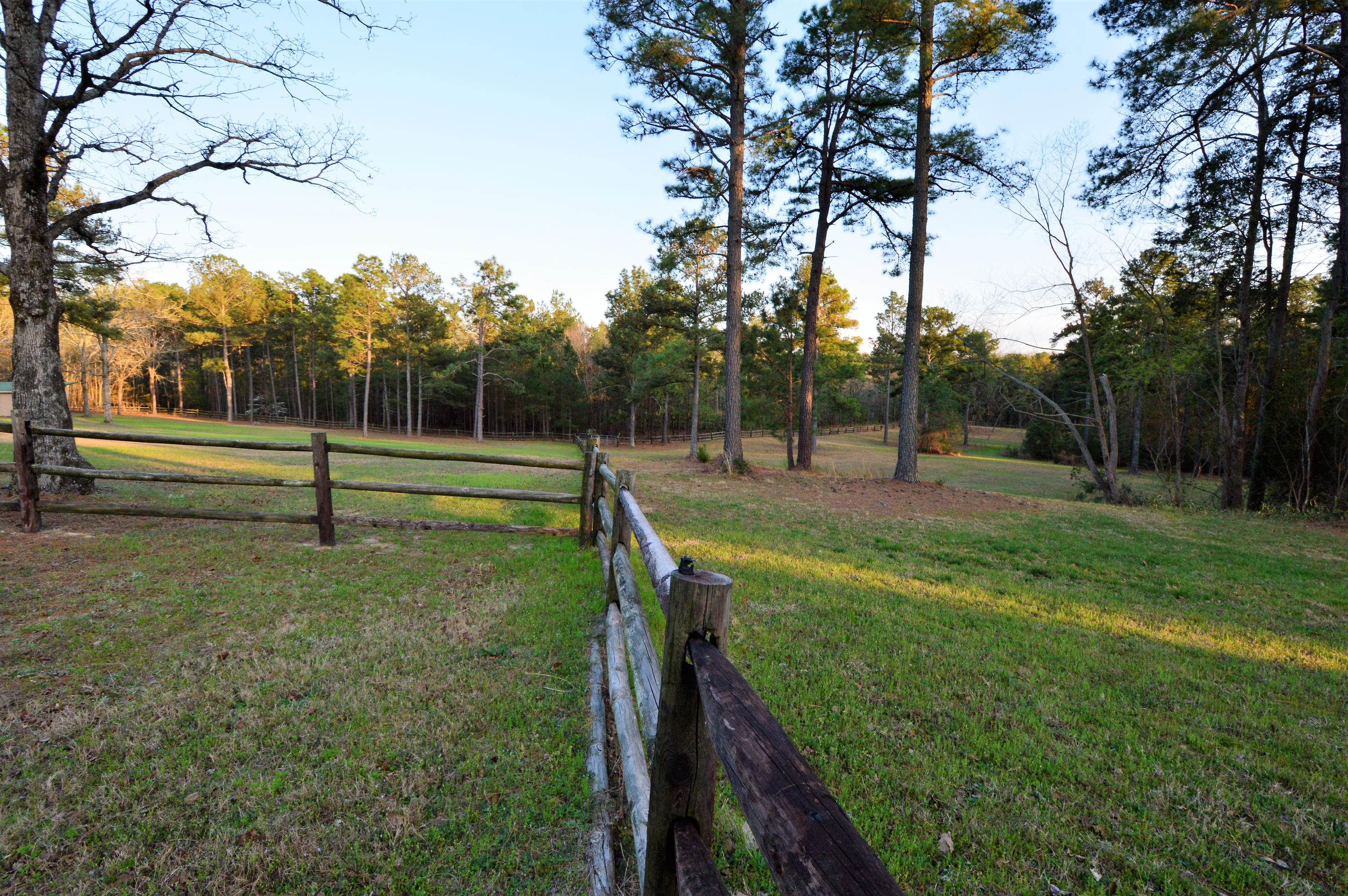 424 Calloway Road Southern Pines, NC 28387 - Photo 14 of 60 DSC_0185