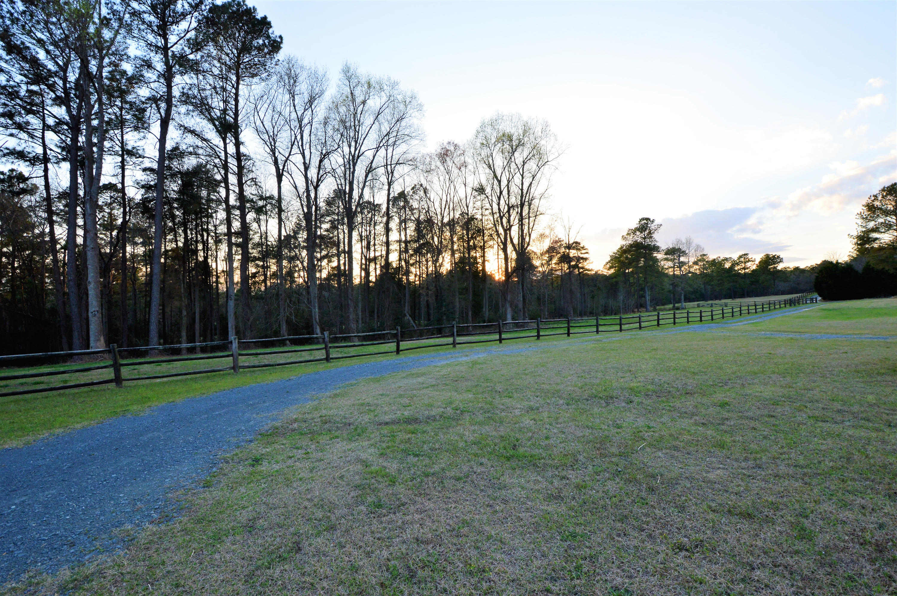 424 Calloway Road Southern Pines, NC 28387 - Photo 47 of 60 DSC_0250