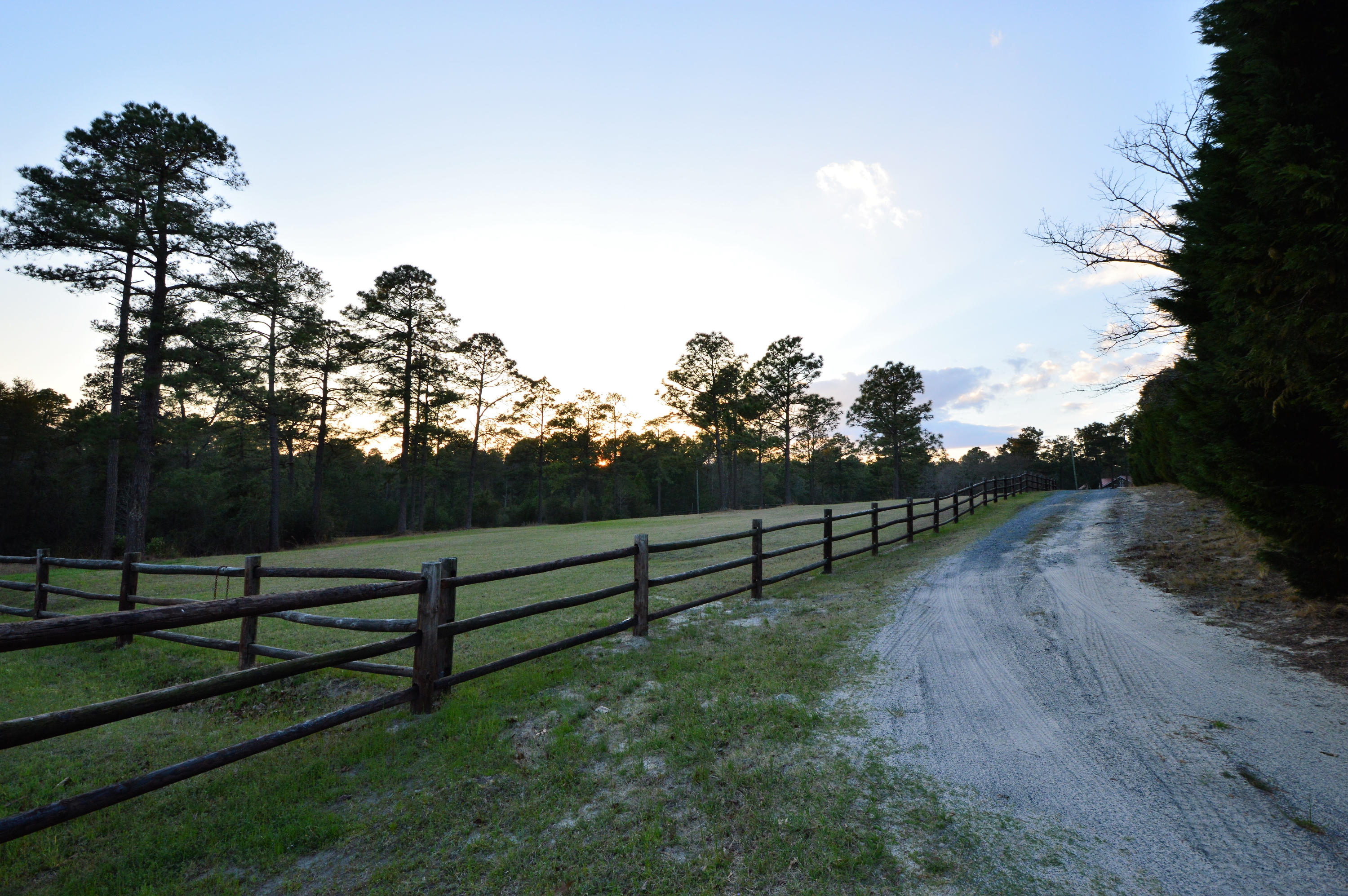 424 Calloway Road Southern Pines, NC 28387 - Photo 49 of 60 DSC_0253