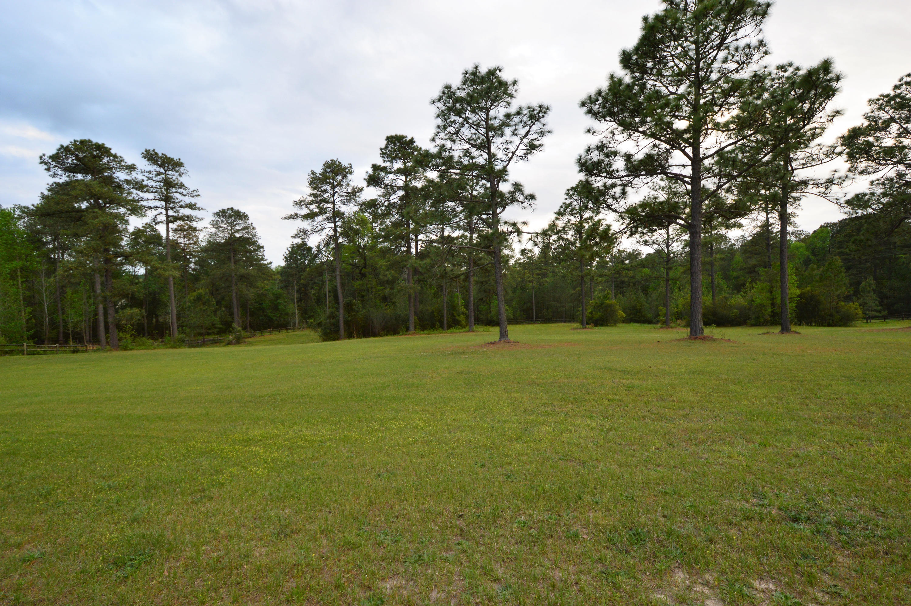 424 Calloway Road Southern Pines, NC 28387 - Photo 56 of 60 DSC_0006