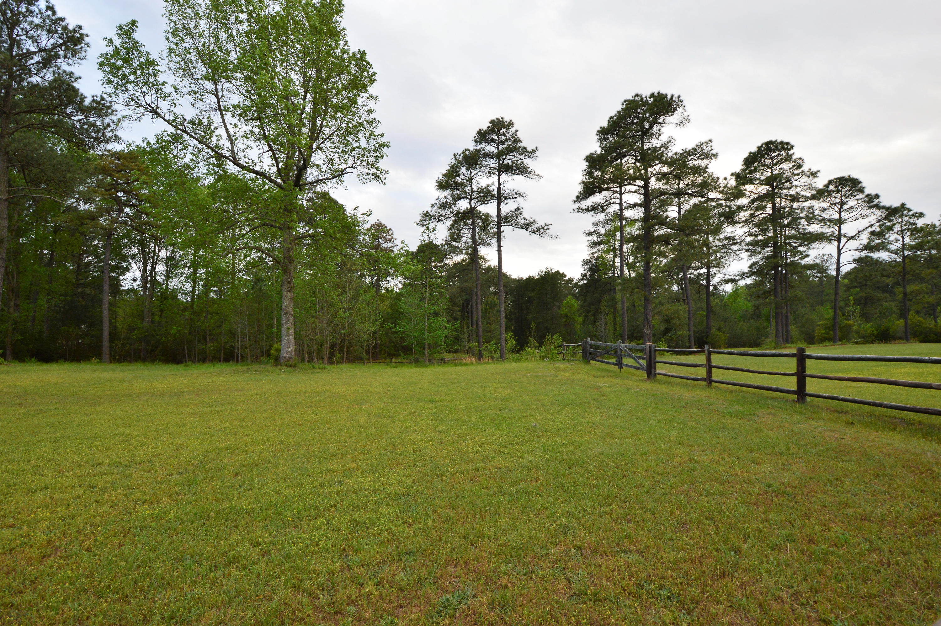 424 Calloway Road Southern Pines, NC 28387 - Photo 58 of 60 DSC_0008