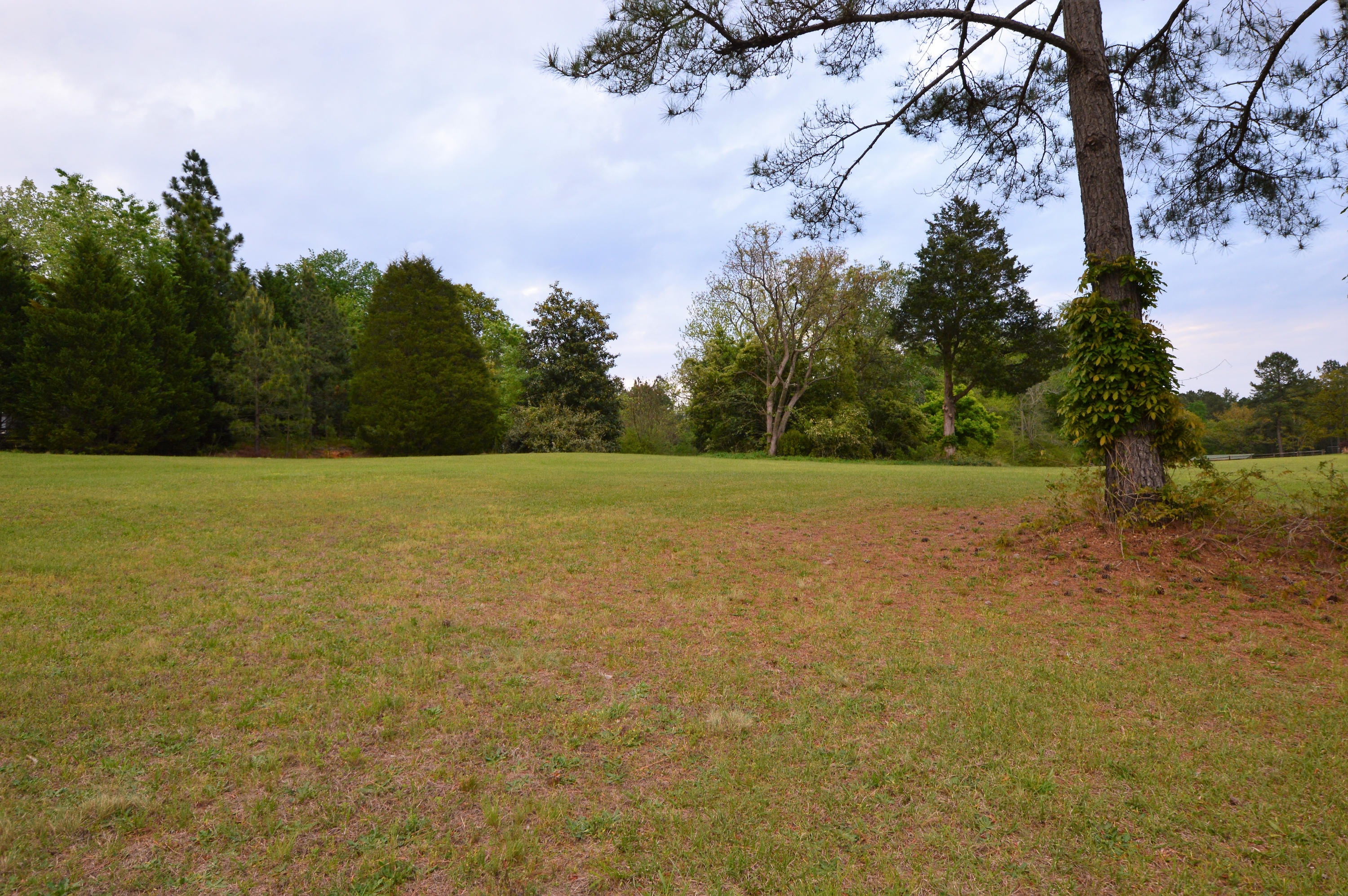 424 Calloway Road Southern Pines, NC 28387 - Photo 60 of 60 DSC_0010