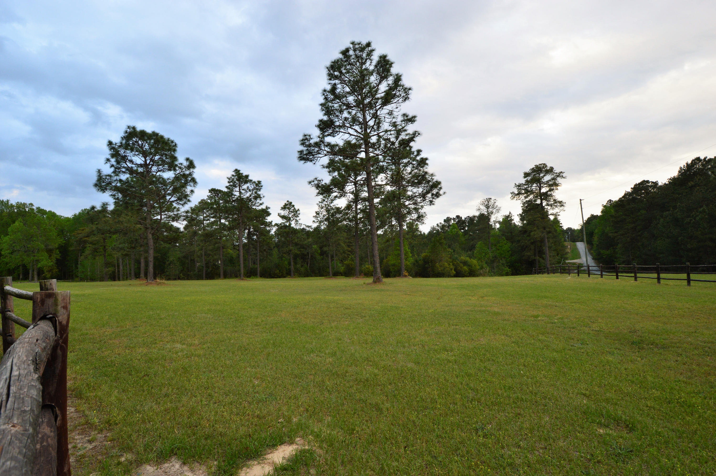 424 Calloway Road Southern Pines, NC 28387 - Photo 10 of 60 DSC_0003
