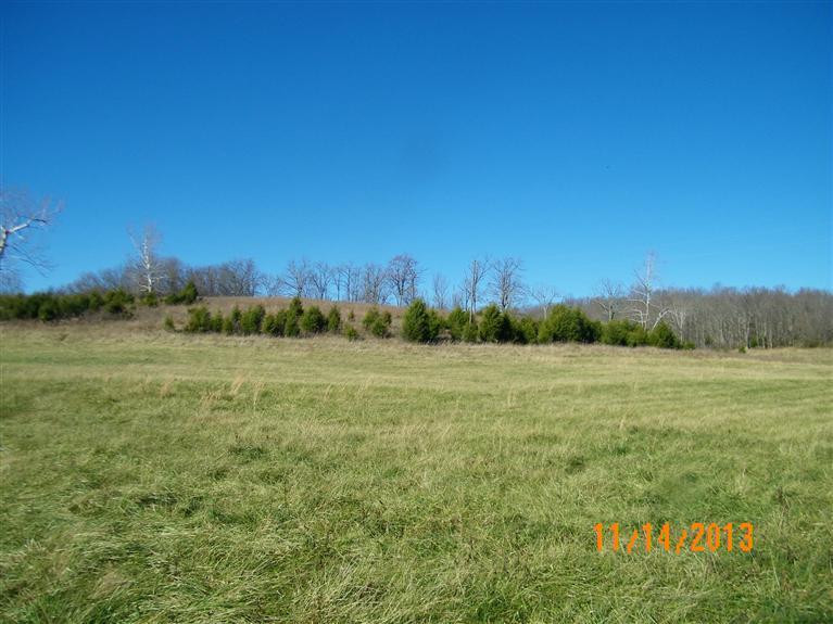 1018 Anderson Road Georgetown, KY 40324 - Photo 9 of 9 Photo 9