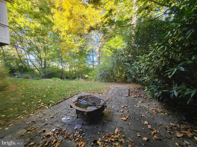 a view of a forest with trees in front of it