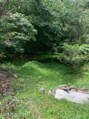 1 Lower Rinehart Road Dandridge, TN 37725 - Photo 3 of 4 329755 (1)