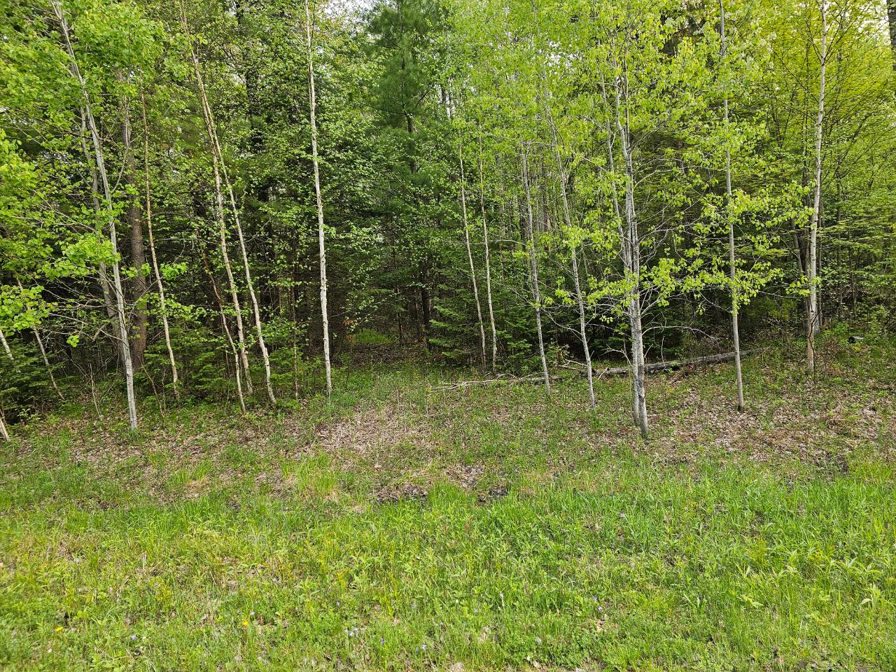 Lot 11 Eagle Waters Road Rhinelander, WI 54501 - Photo 30 of 30 Gallery Image 30