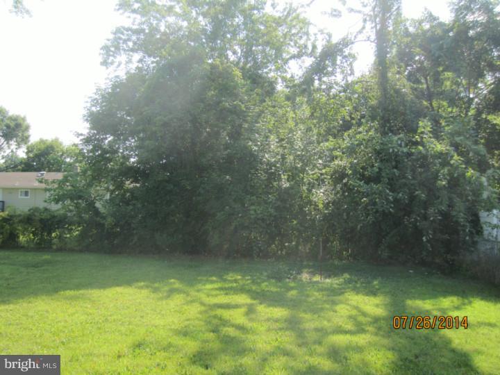 63 Rhodes Avenue Ewing, NJ 08638 - Photo 5 of 18 Gallery Image 5