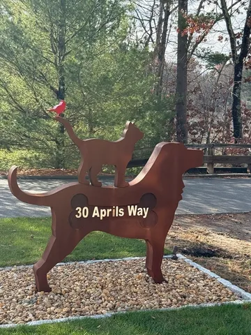 a view of a bench in a yard