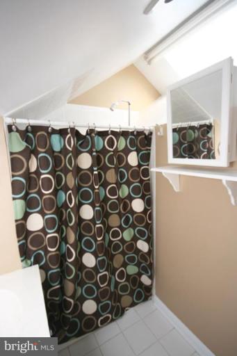 102 Hamilton Avenue Silver Spring, MD 20901 - Photo 18 of 30 Master Bath #2