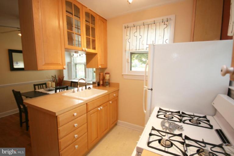 102 Hamilton Avenue Silver Spring, MD 20901 - Photo 9 of 30 Kitchen