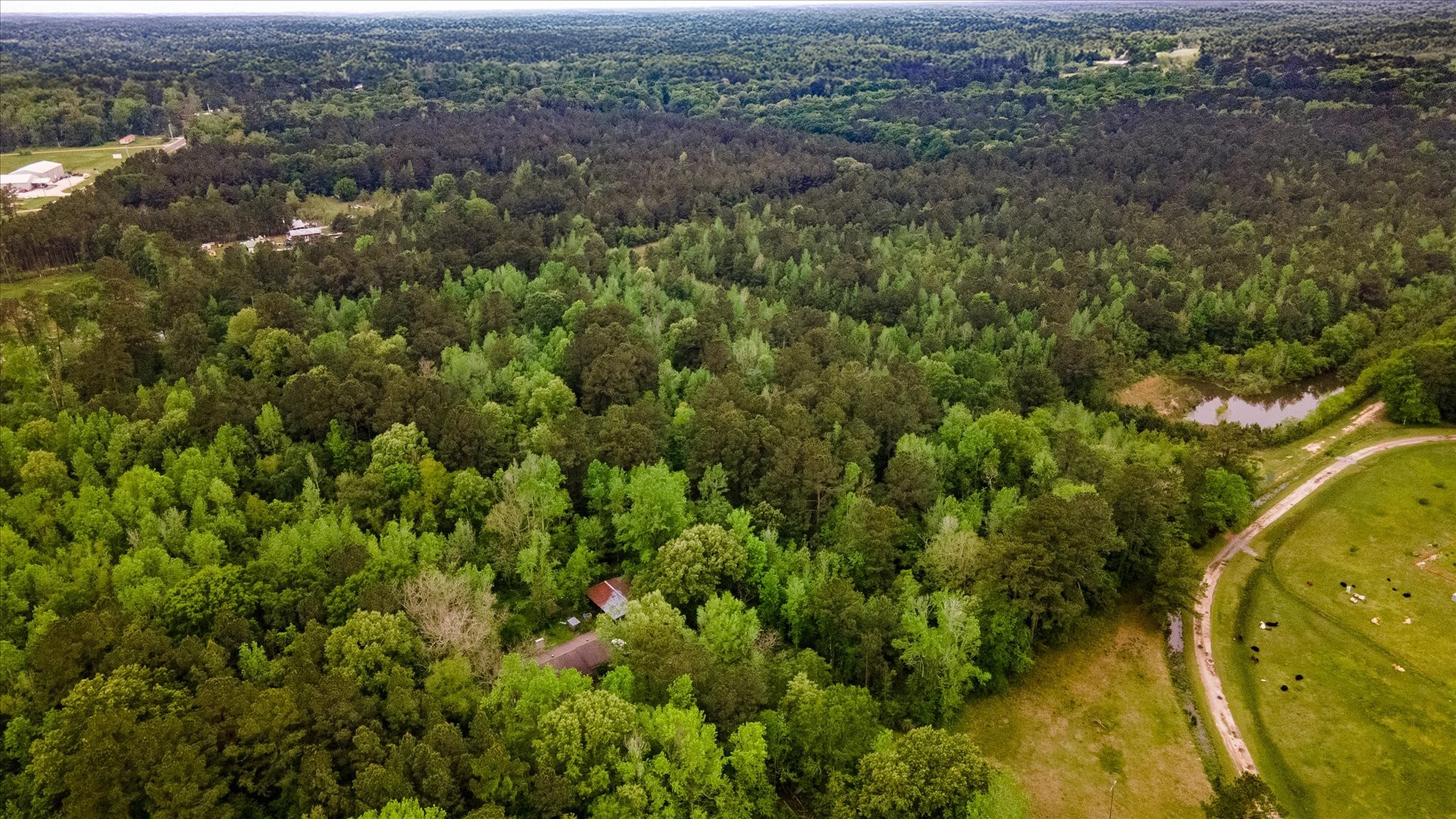 Tbd Shaw Road Hull, TX 77564 - Photo 11 of 31 an aerial view of residential houses with outdoor space and trees