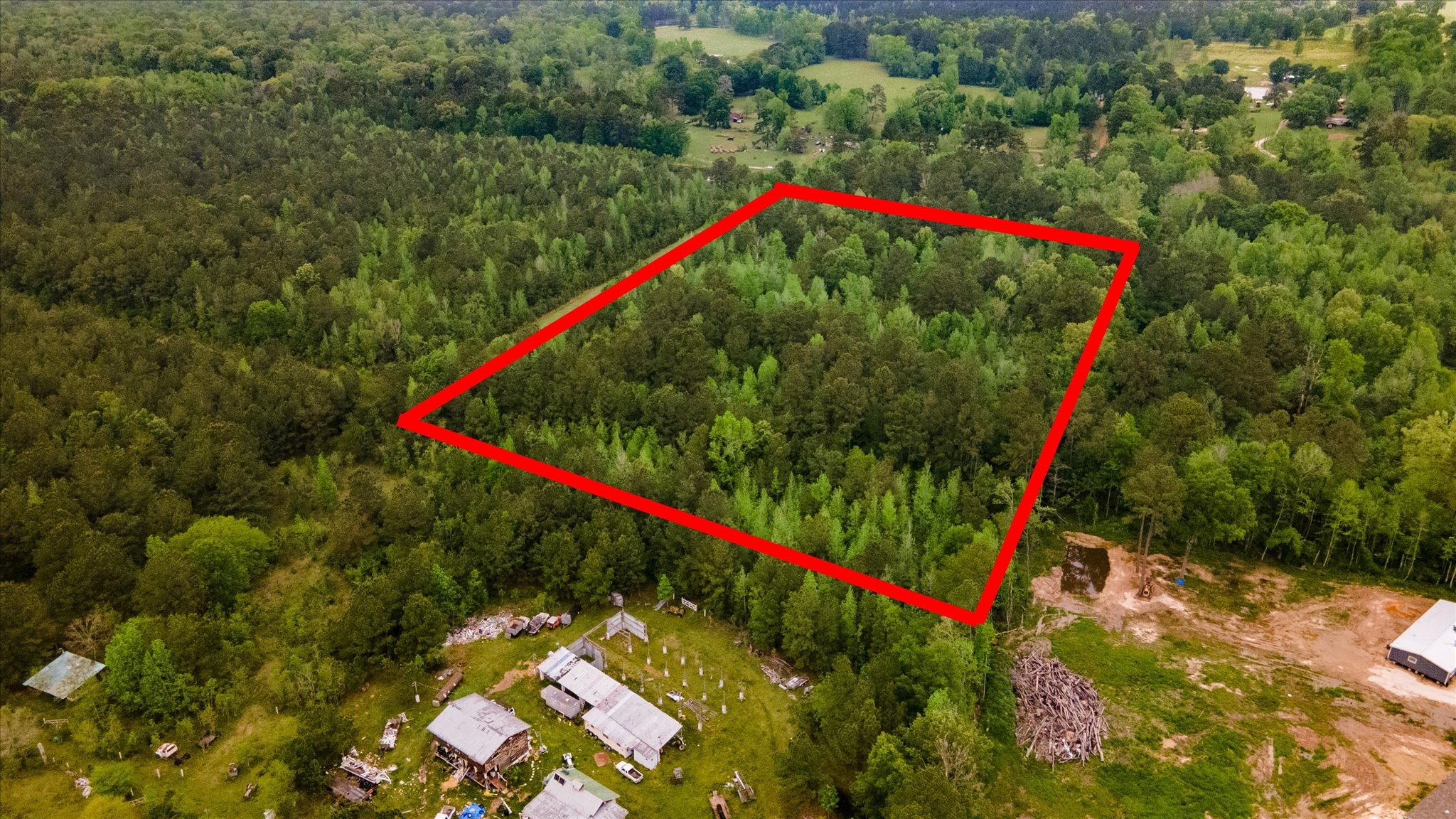 Tbd Shaw Road Hull, TX 77564 - Photo 12 of 31 a picture of a red and white flower in a park