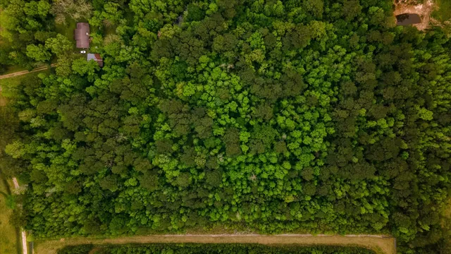 an aerial view of residential house with outdoor space and trees all around