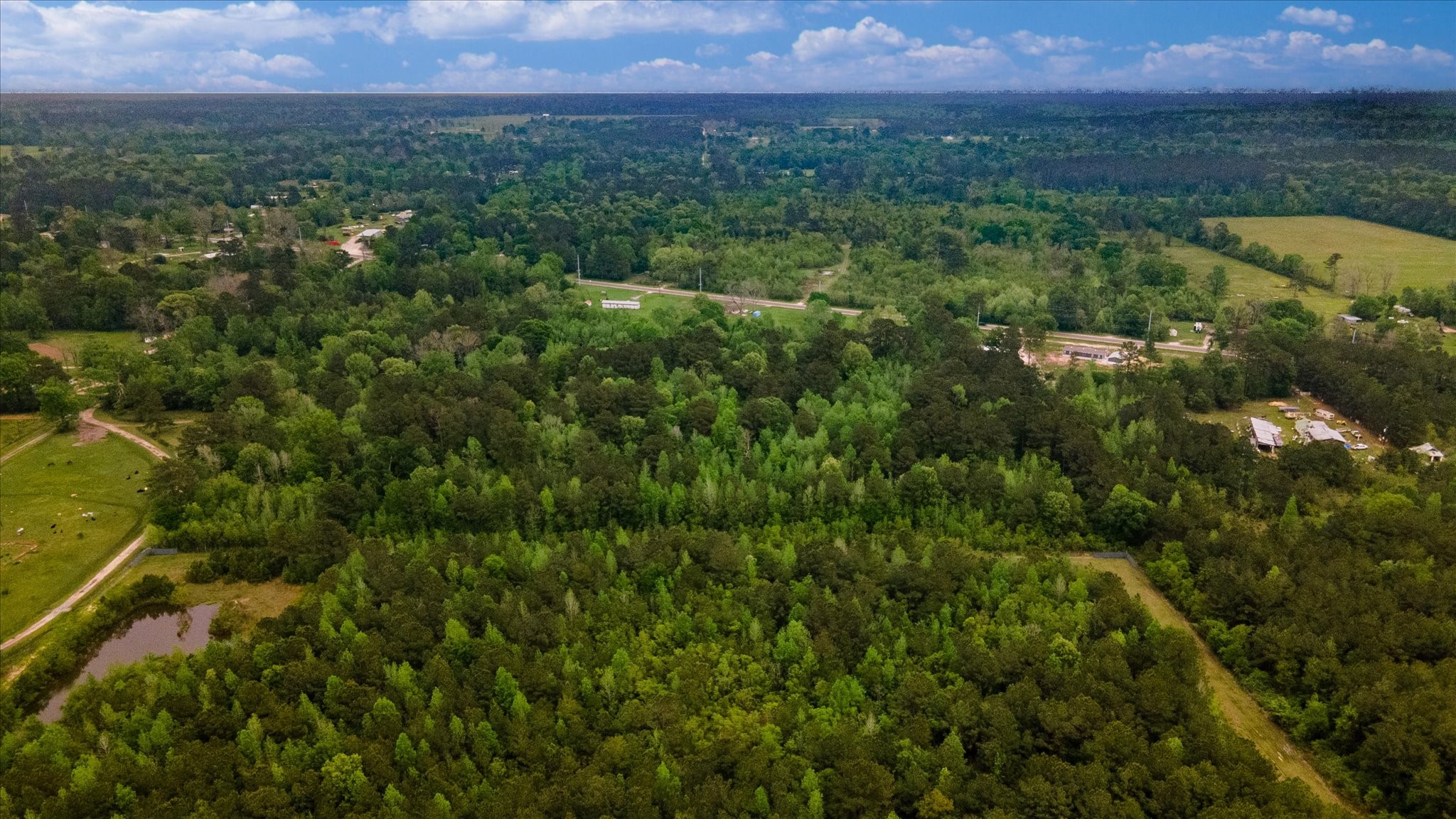 Tbd Shaw Road Hull, TX 77564 - Photo 21 of 31 an aerial view of residential house with outdoor space and trees all around