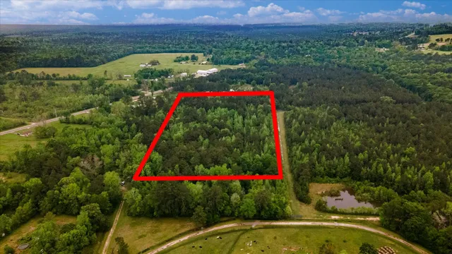 a view of a lush green forest with a house