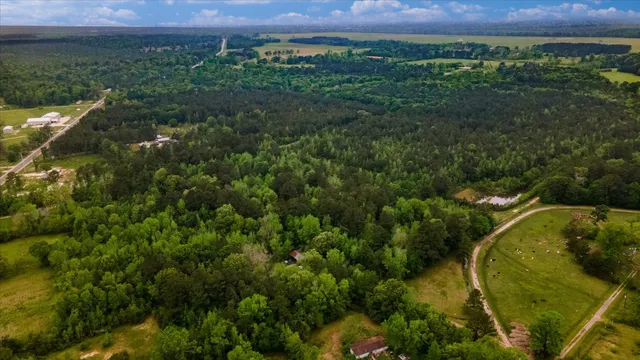 a view of a field with a flower and a wooden fence