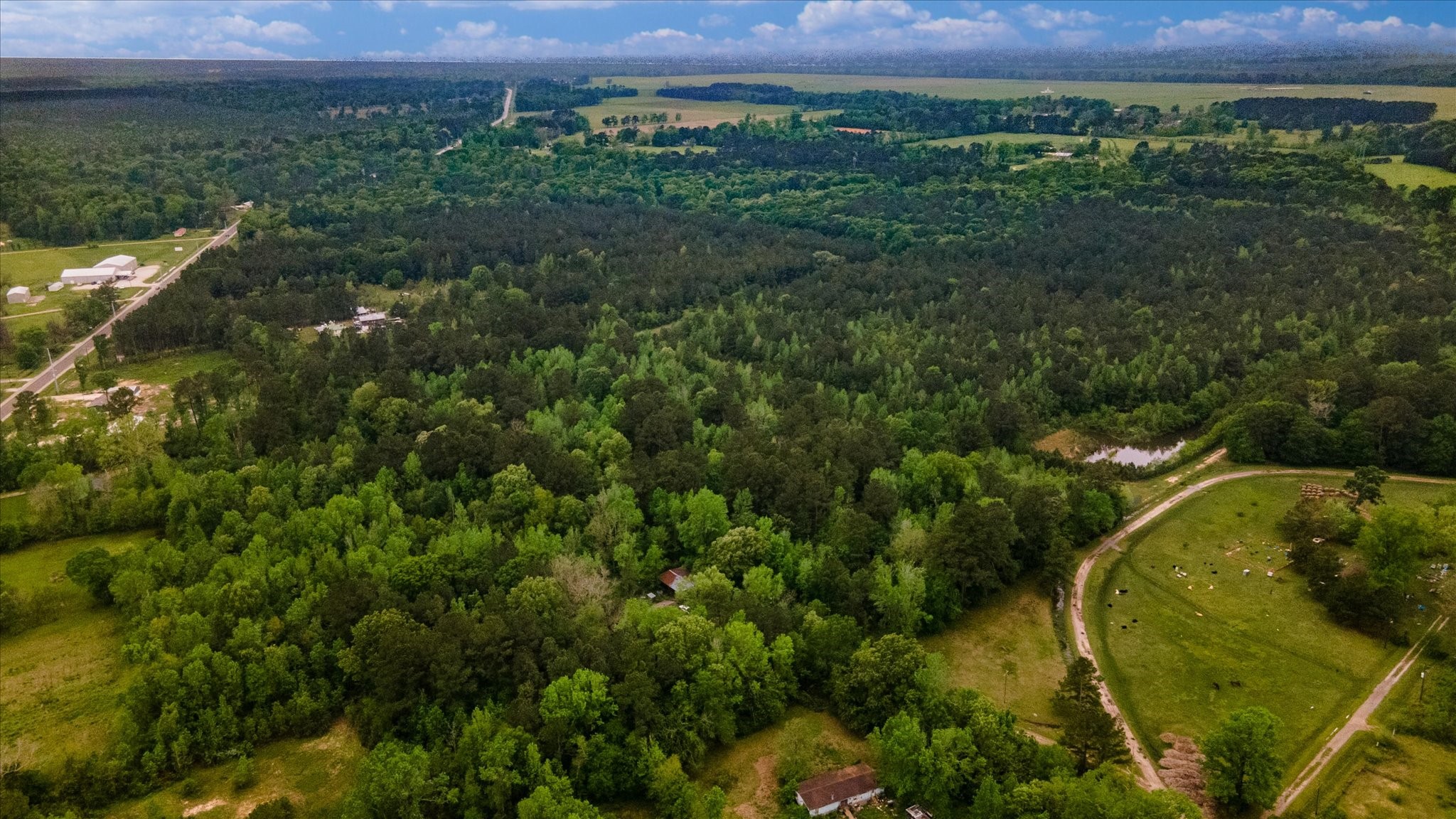 Tbd Shaw Road Hull, TX 77564 - Photo 27 of 31 a view of a lush green forest with a house