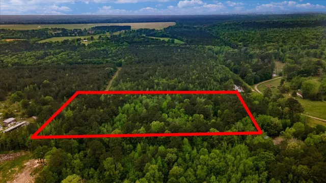 a view of a lush green forest with trees and some houses