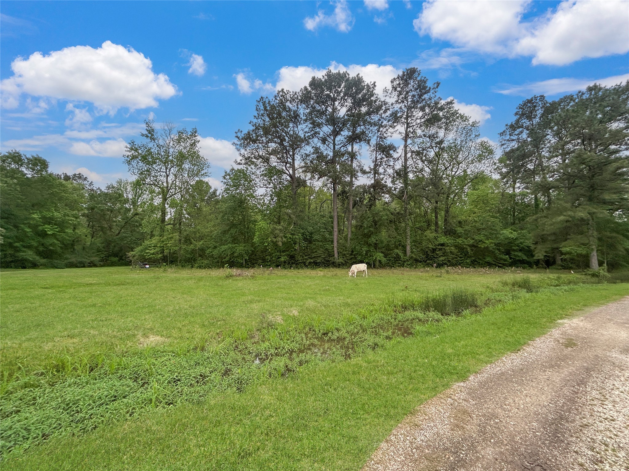 Tbd Shaw Road Hull, TX 77564 - Photo 3 of 31 a view of outdoor space and yard