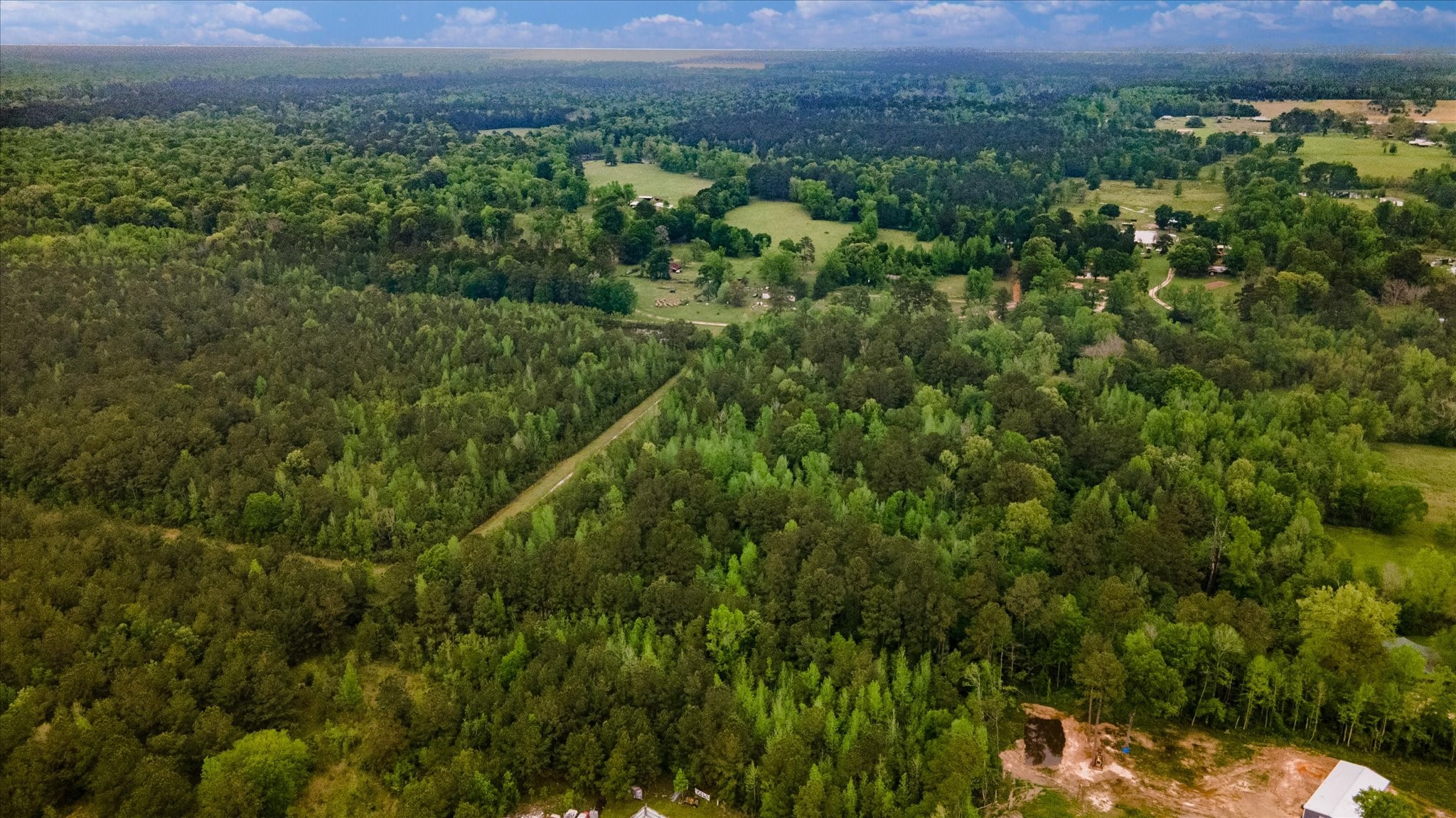 Tbd Shaw Road Hull, TX 77564 - Photo 31 of 31 a view of a lush green forest with trees and some houses