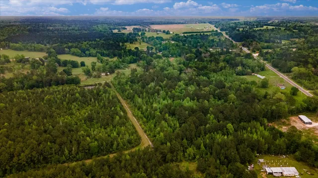 a view of a park with large trees and a park