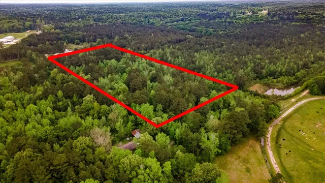 an aerial view of residential houses with outdoor space and trees