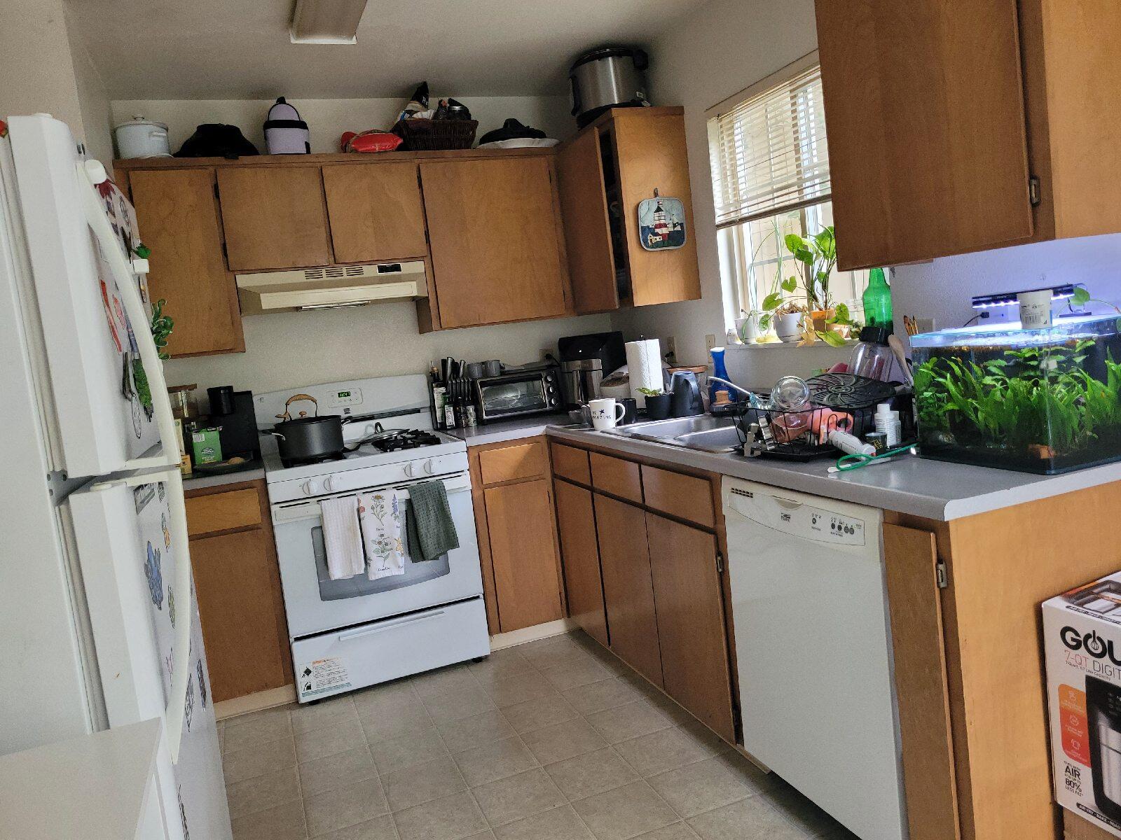 585 Ridge Road Arcata, CA 95521 - Photo 13 of 43 Subject Front-12